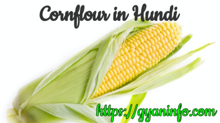 Cornflour in Hindi