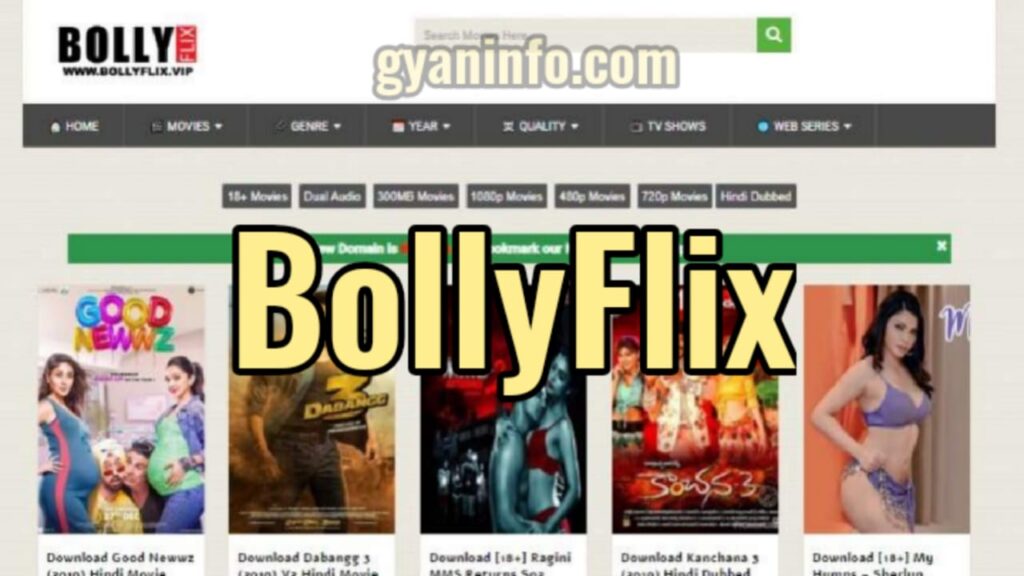 Bollyflix