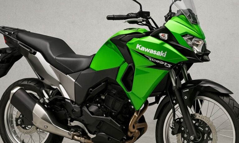 Kawasaki Versys-X 300